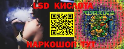 гидропоника Нальчик