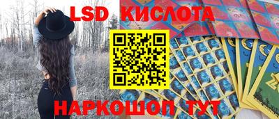 крисы Новодвинск
