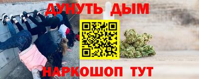 крисы Новодвинск