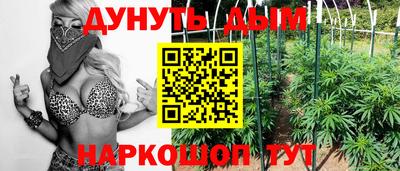 PSILOCYBIN Новокубанск
